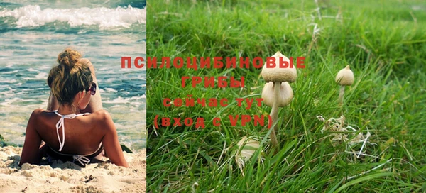 амф Белокуриха