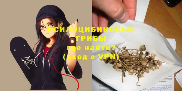 амф Белокуриха