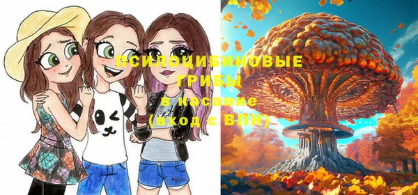 амф Белокуриха