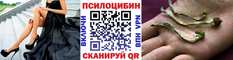 Псилоцибиновые грибы Cubensis  ссылка на мегу   Бузулук  купить  